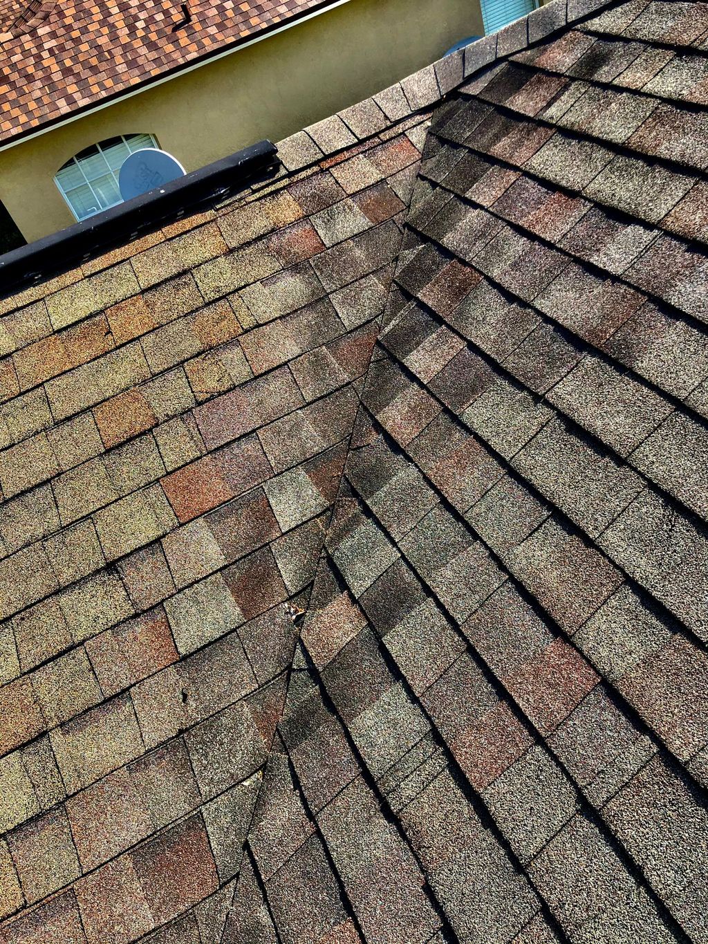 cormally affected roofs