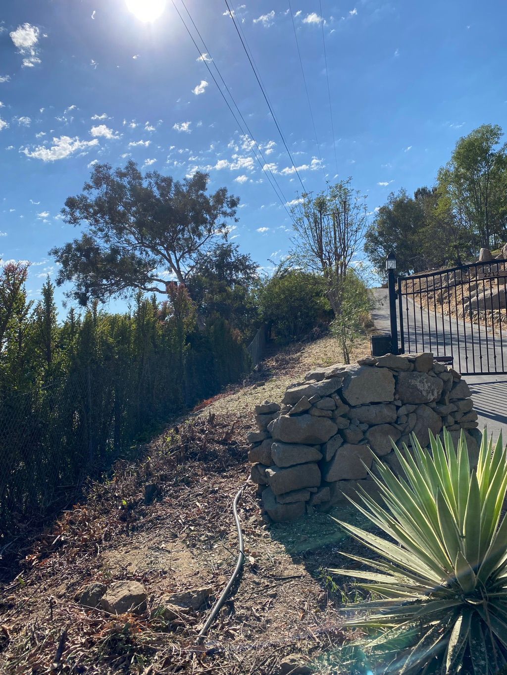 4th of July Brush Clearing: After 