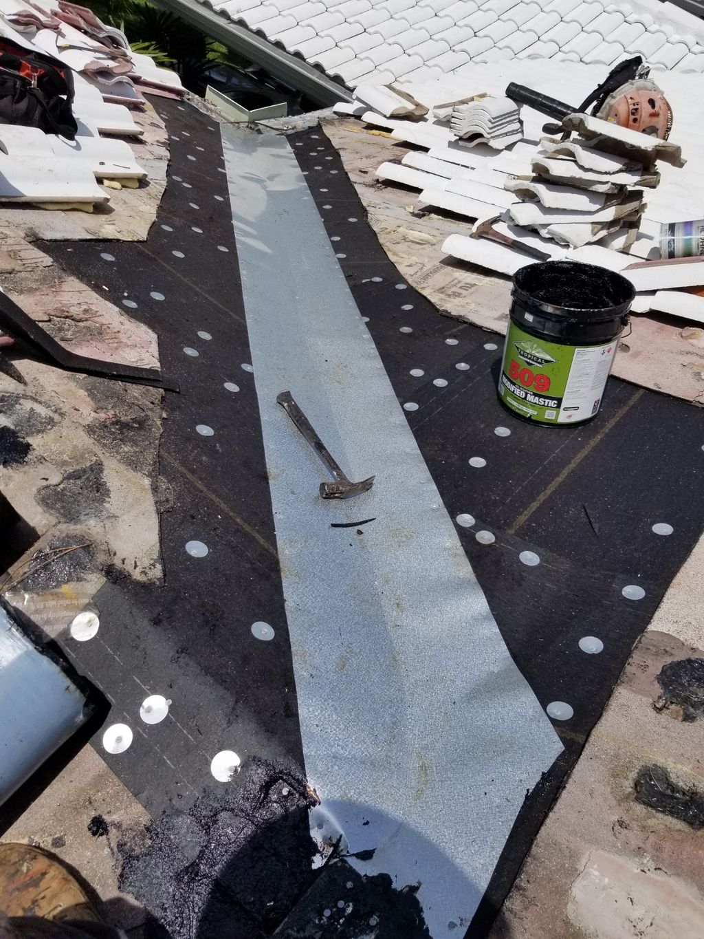 Projects and media