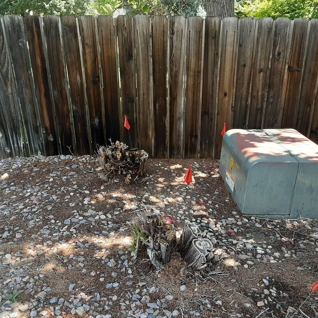 Tree Stump Grinding and Removal