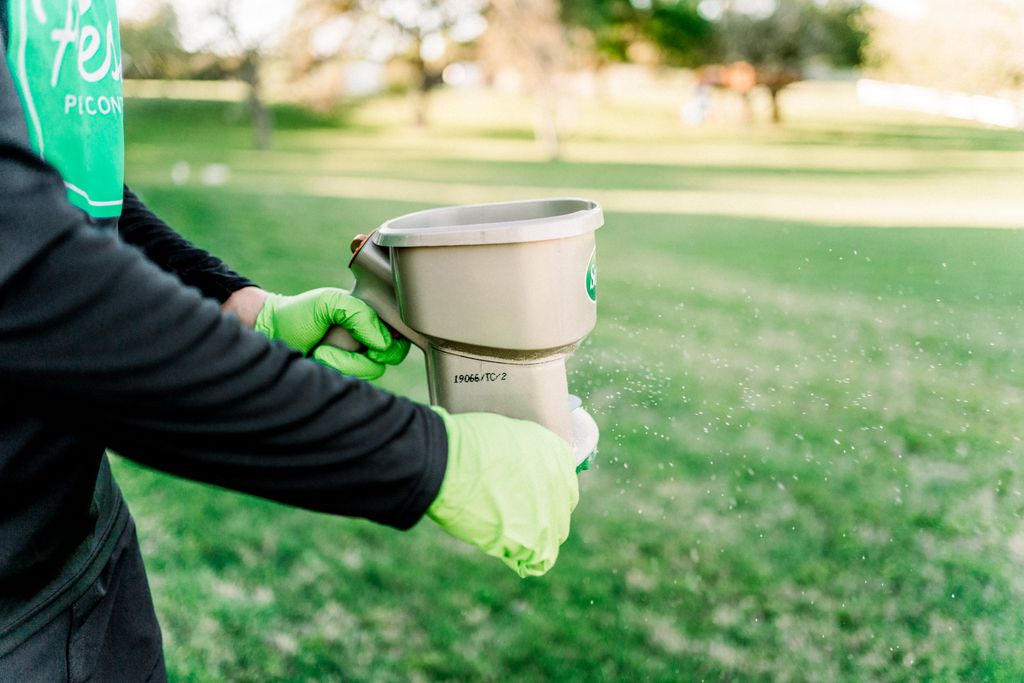 Fire ant and yard pest granule prevention.
