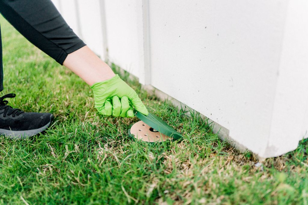 Termite protection and monitoring.