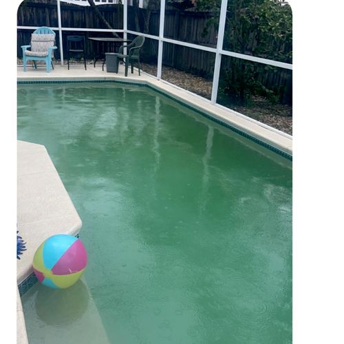 Ricardo got our pool from an ugly green to a beaut