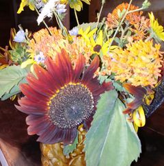RE RUSTIC ECLECTIC