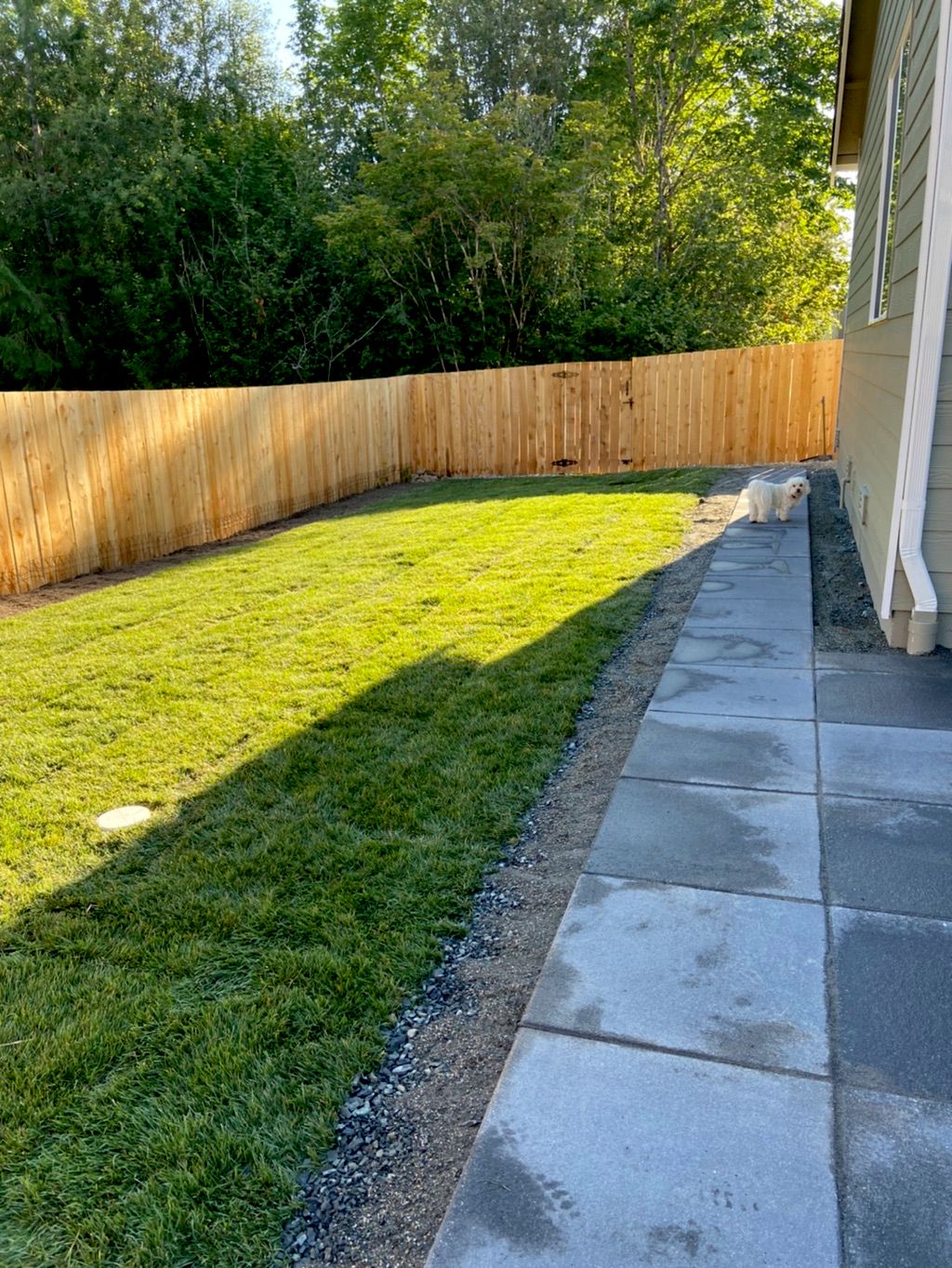 Customer photos