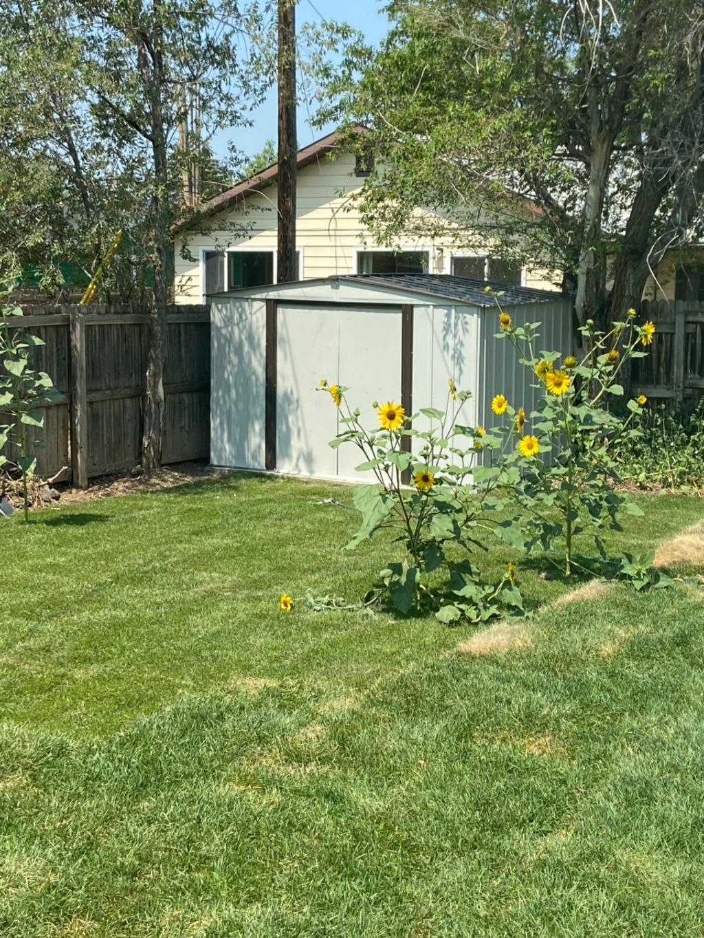 Customer photos