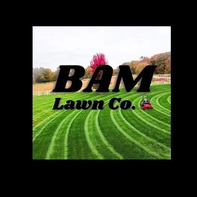 Avatar for Bam Landscaping LLC