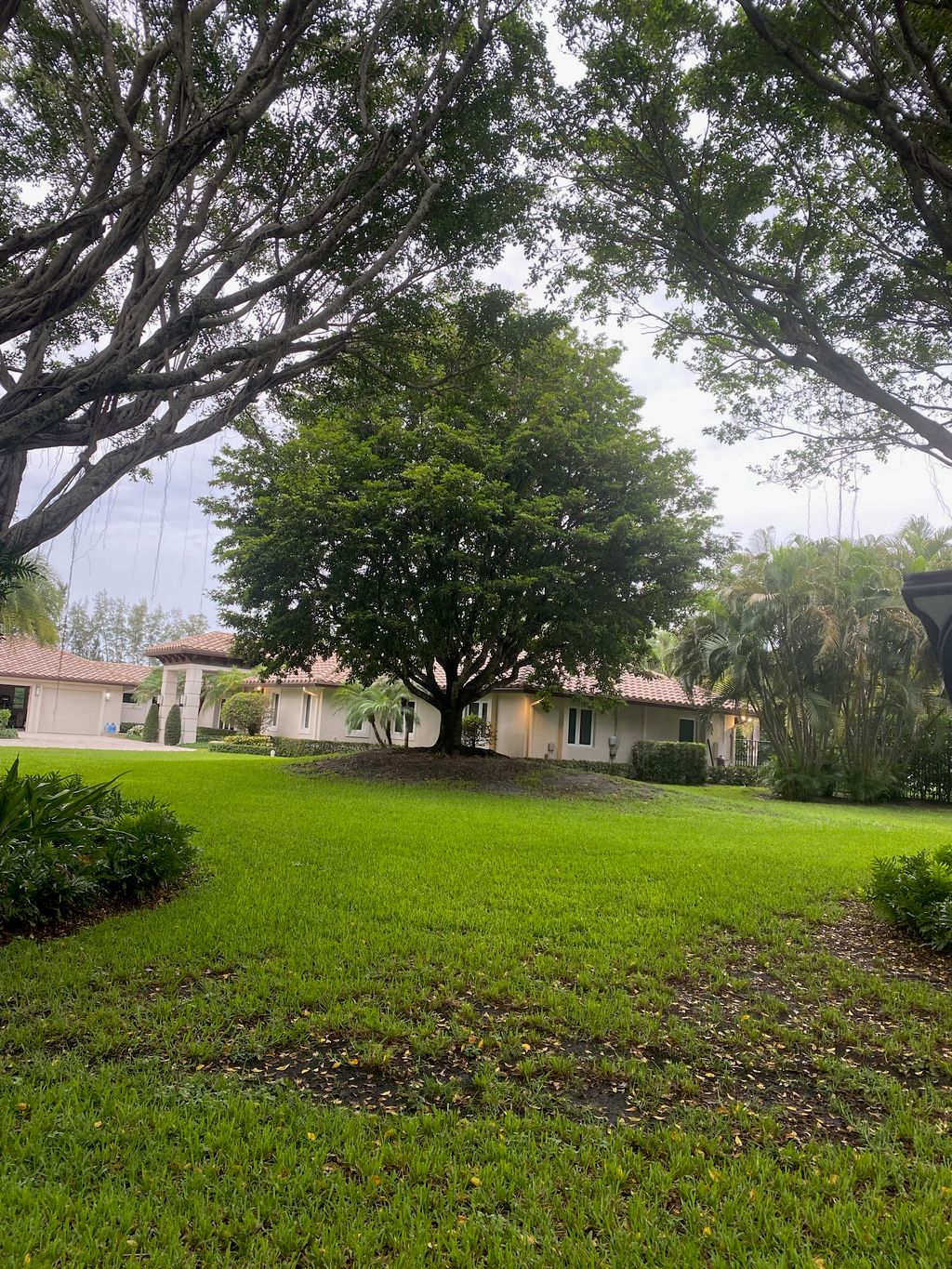 Tree Trimming and Removal