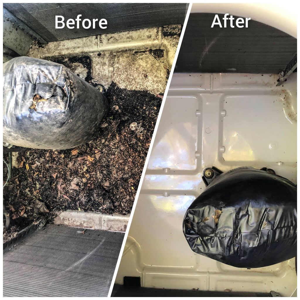 Condenser Pan Cleanup