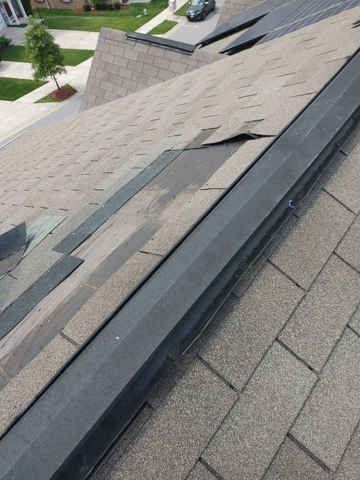 Customer photos