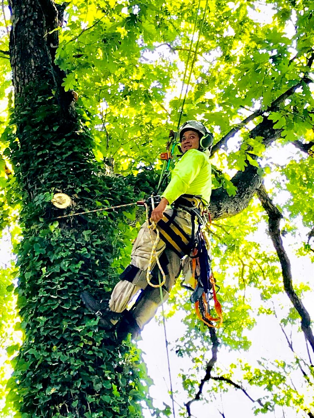 Mendoza landscaping LLC