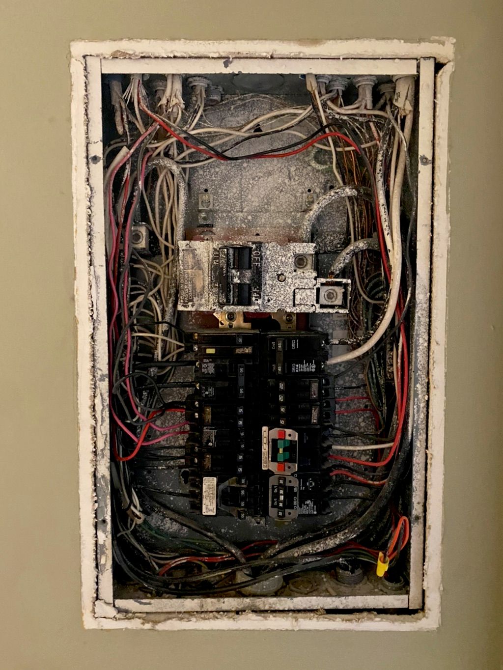 Customer photos
