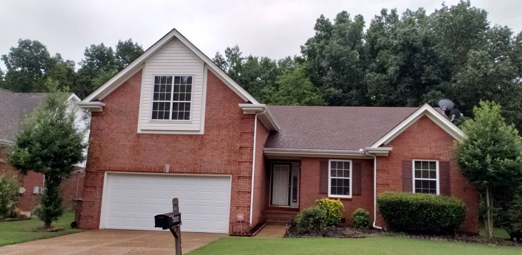 Gutter and Trim Cleaning