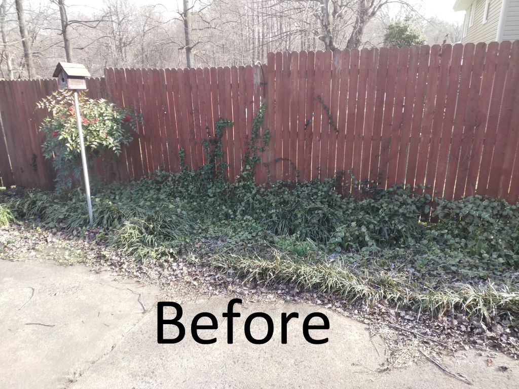 Clean up and Mulch