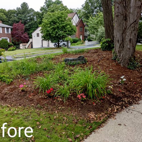 Reduced the size of a large messy flower bed and r