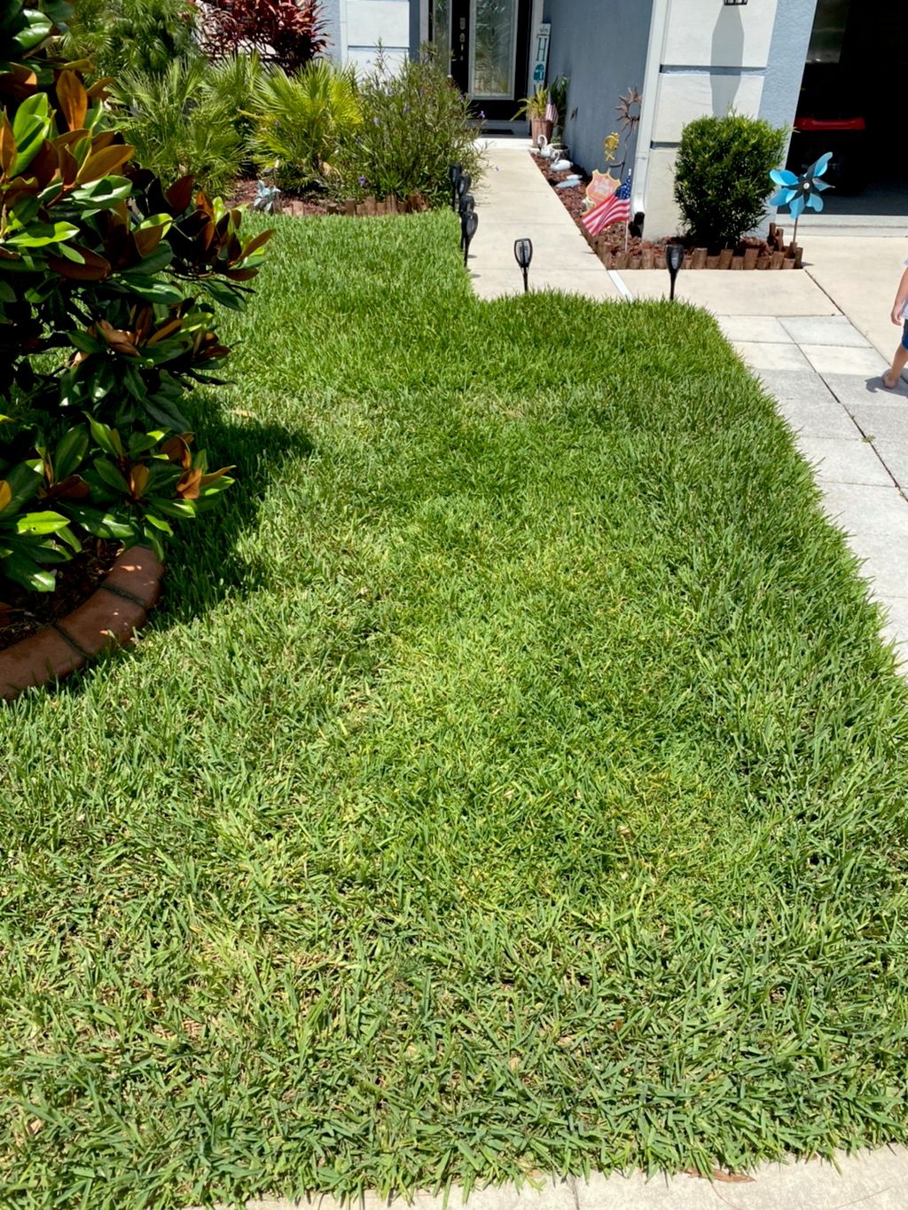 Re-Sod