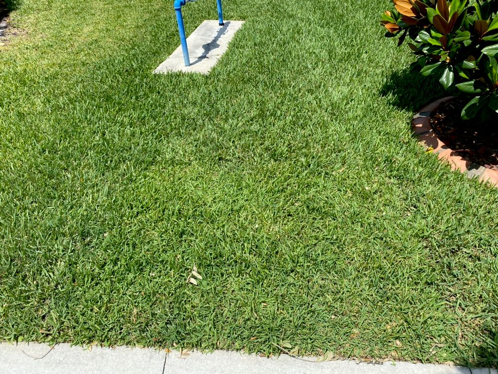 Re-Sod 
