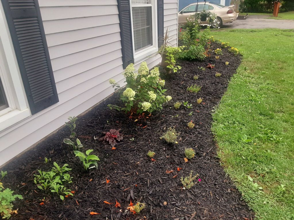 They installed this beautiful mulch bed with a pro