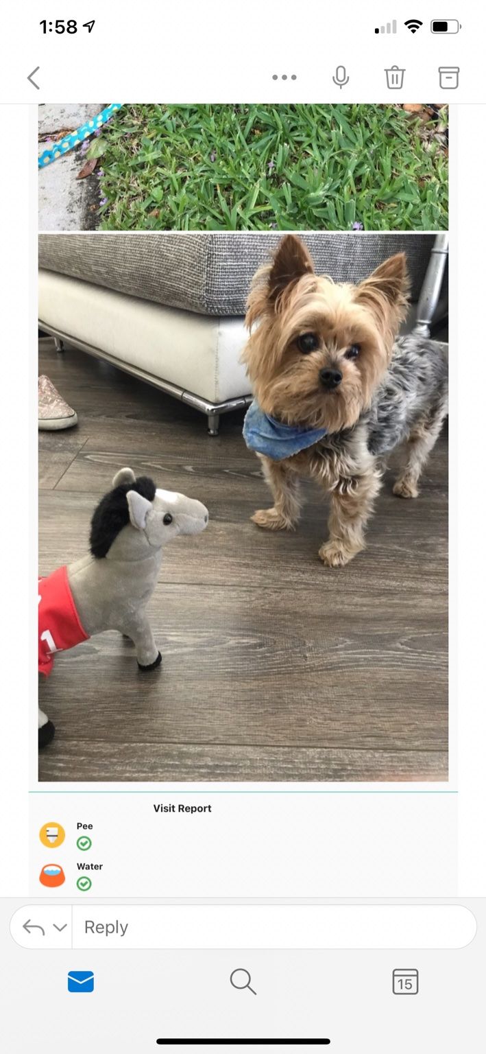 Customer photos