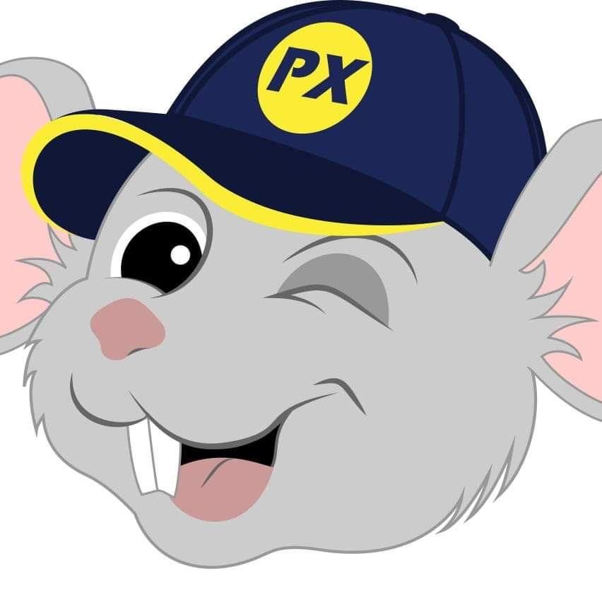 Pest Express LLC