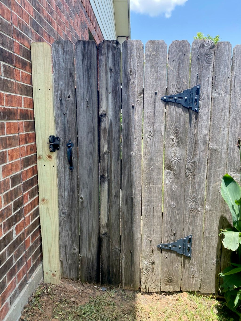 Customer photos