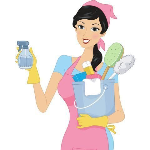 SL Cleaning Services