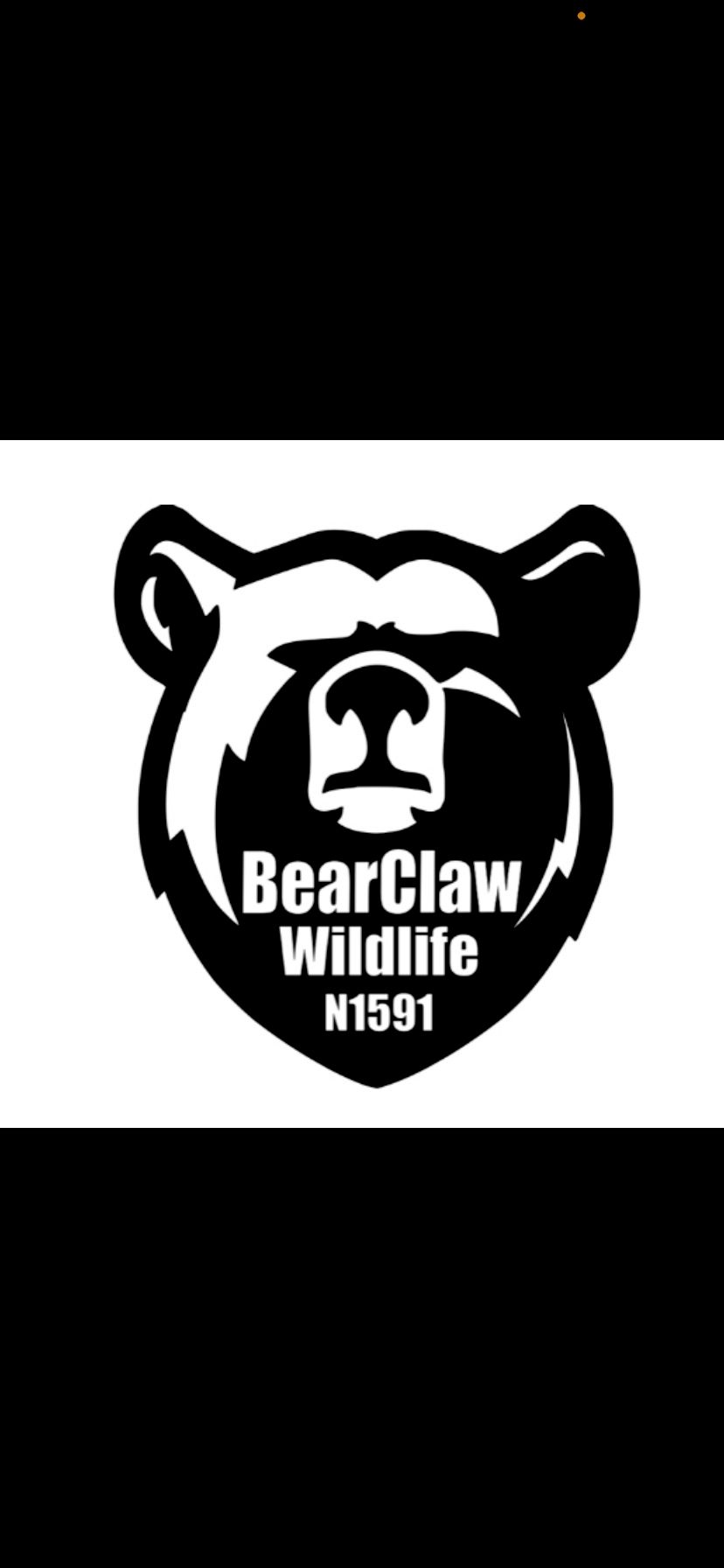 BearClaw Wildlife