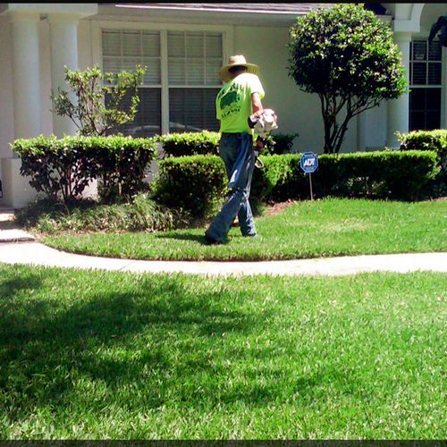 Lawn Mowing and Trimming