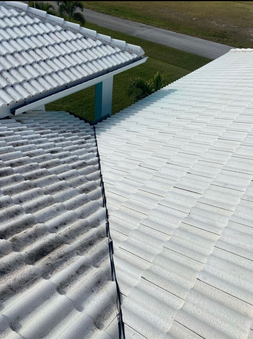 Roof Cleaning