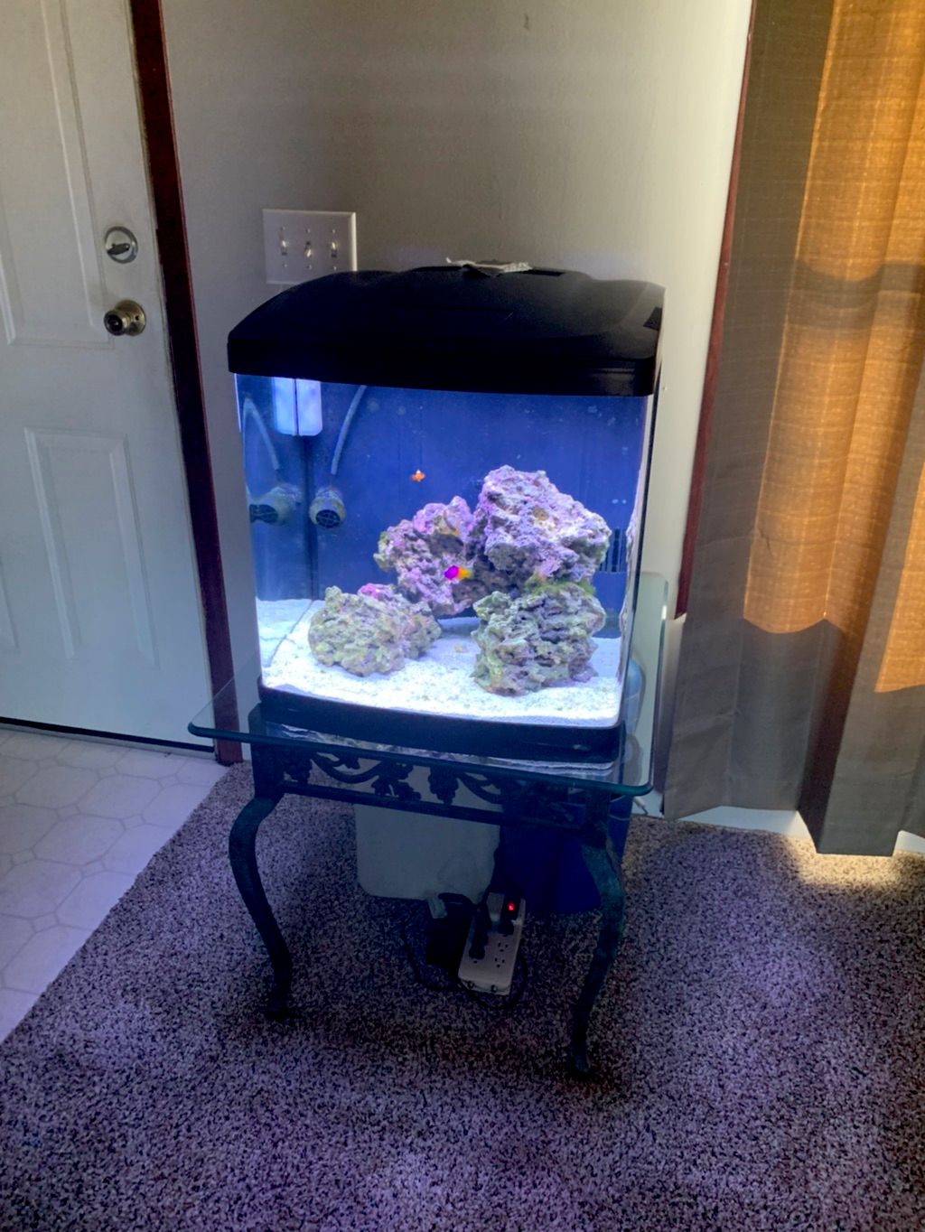 Customer photos