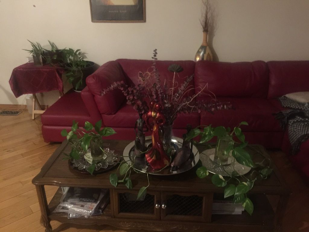 Customer photos