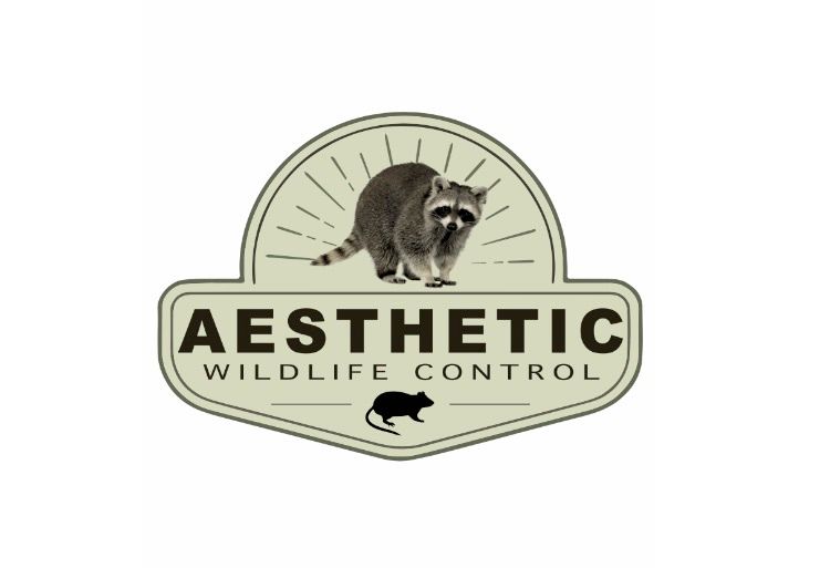 AESTHETIC RODENT AND WILDLIFE CONTROL 24/7