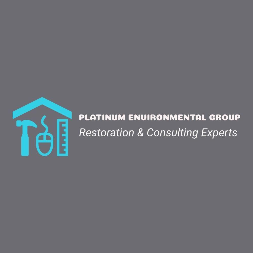 Platinum Environmental Group