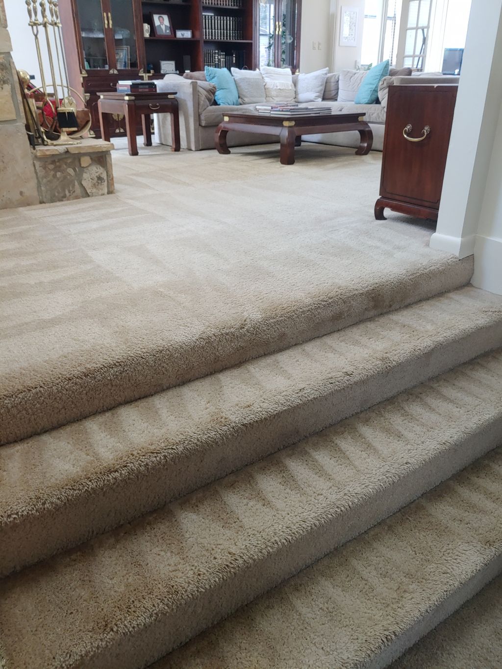 Carpet Cleaning 