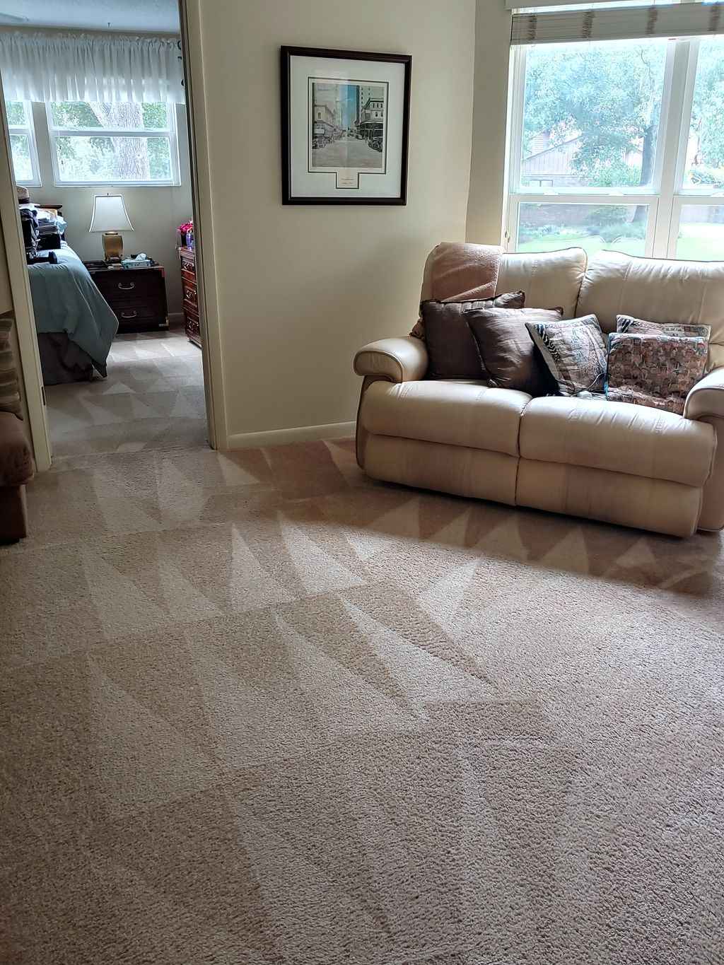 carpet cleaning