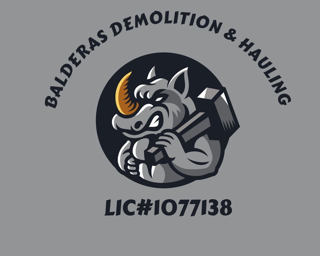 Balderas Demolition & Hauling