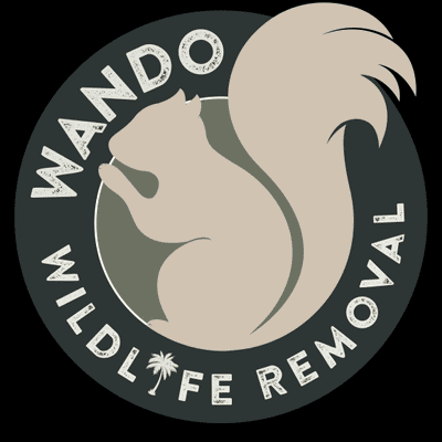 Avatar for Wando Wildlife Removal