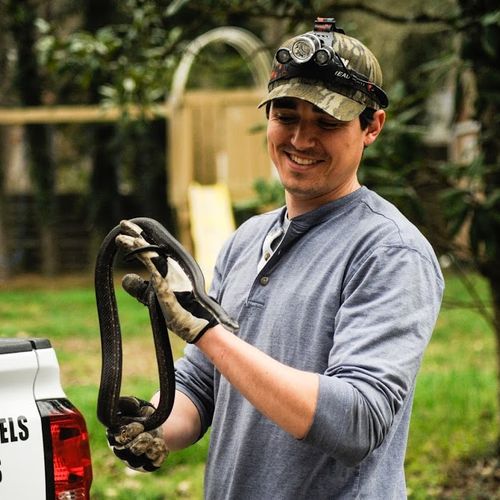 Operator, Frank Cisa with a black rat snake remove