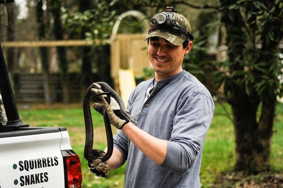 Operator, Frank Cisa with a black rat snake remove