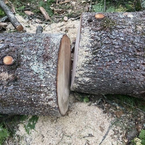 27 inch wide log I cut in half