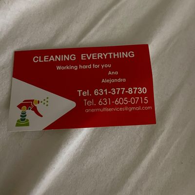 Avatar for Everything cleaning