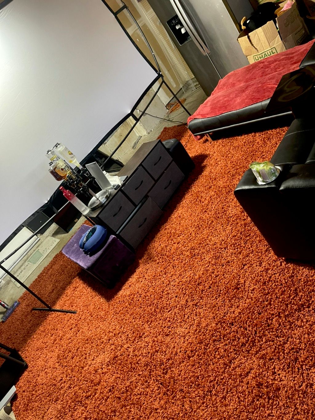 Projects and media