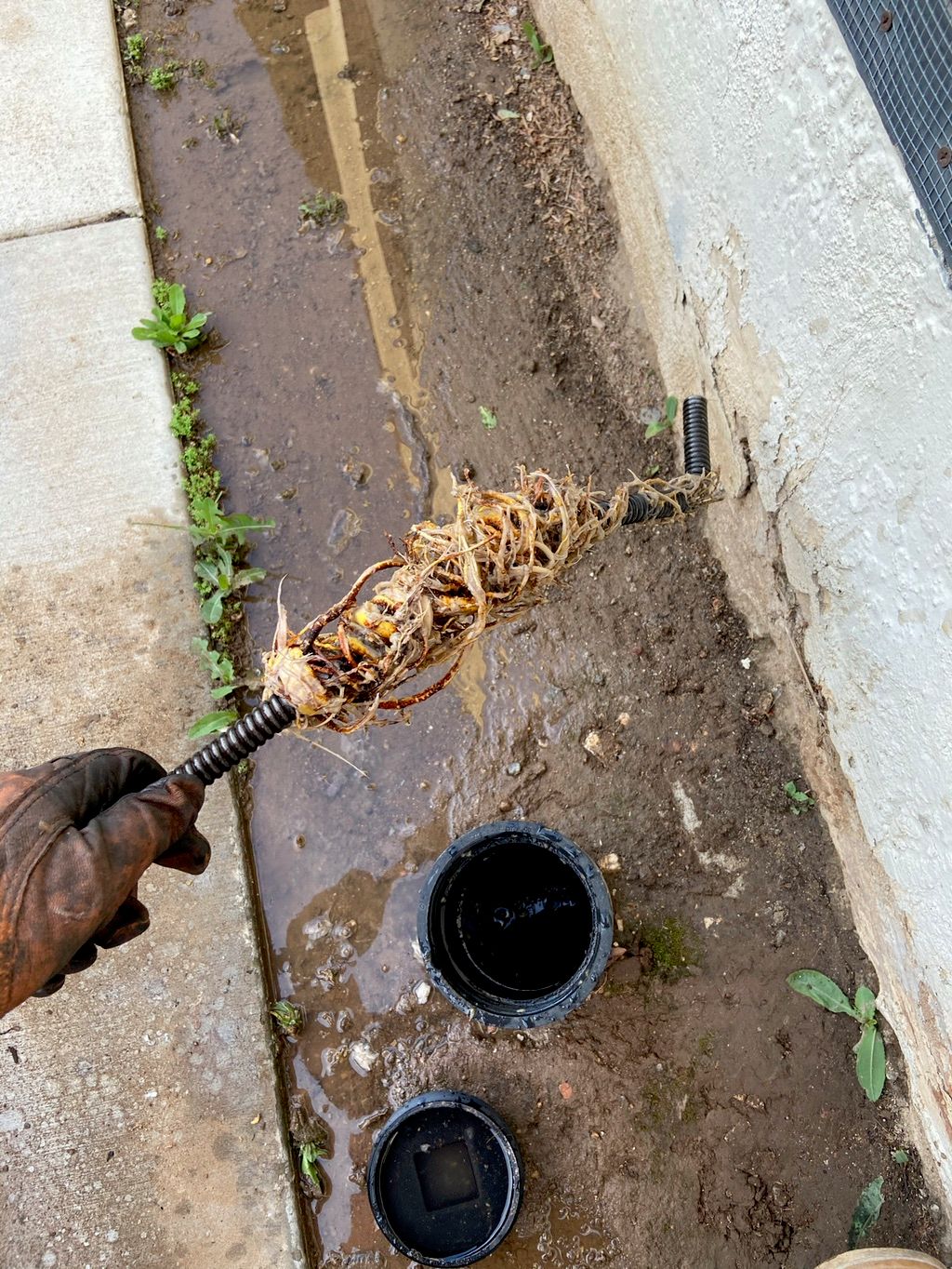 Main drain stoppage. Cabled and cleared. Cause of 