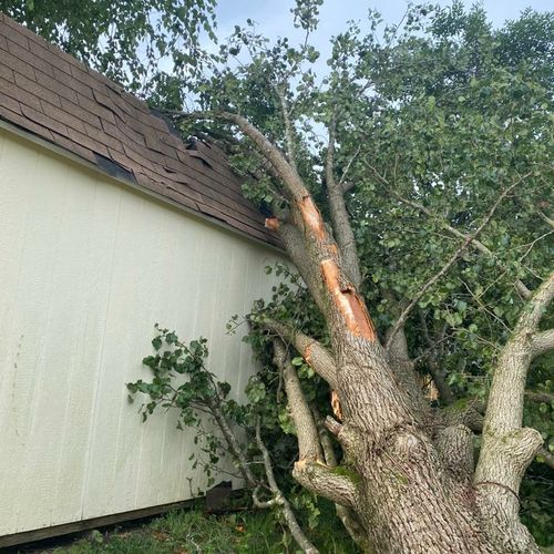 Tree fell on storage due to heavy storm 