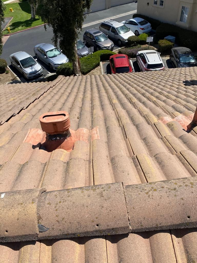 Roof Repair or Maintenance