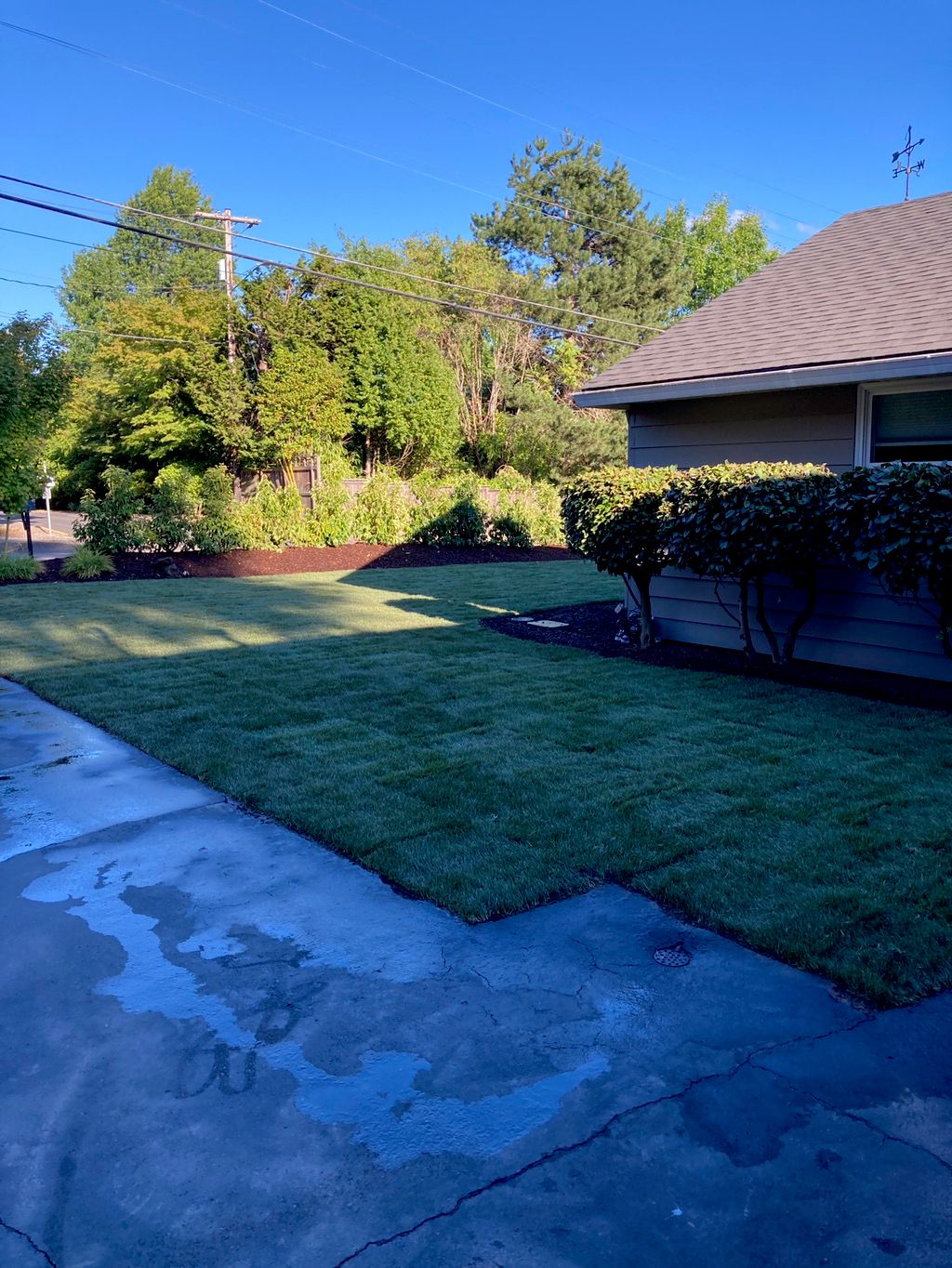 Customer photos