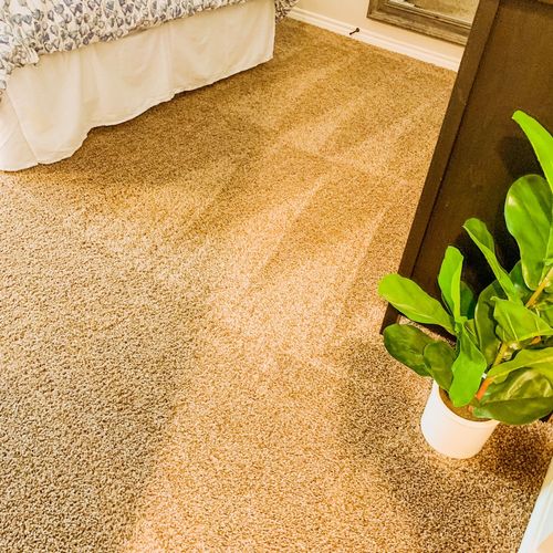 Lubbock Cleaning Service Lubbock, TX Thumbtack