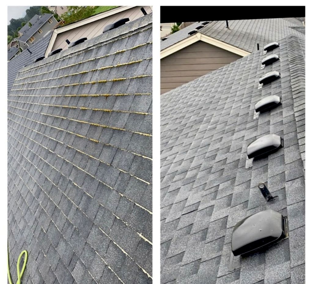 Geo Roof Cleaning.
