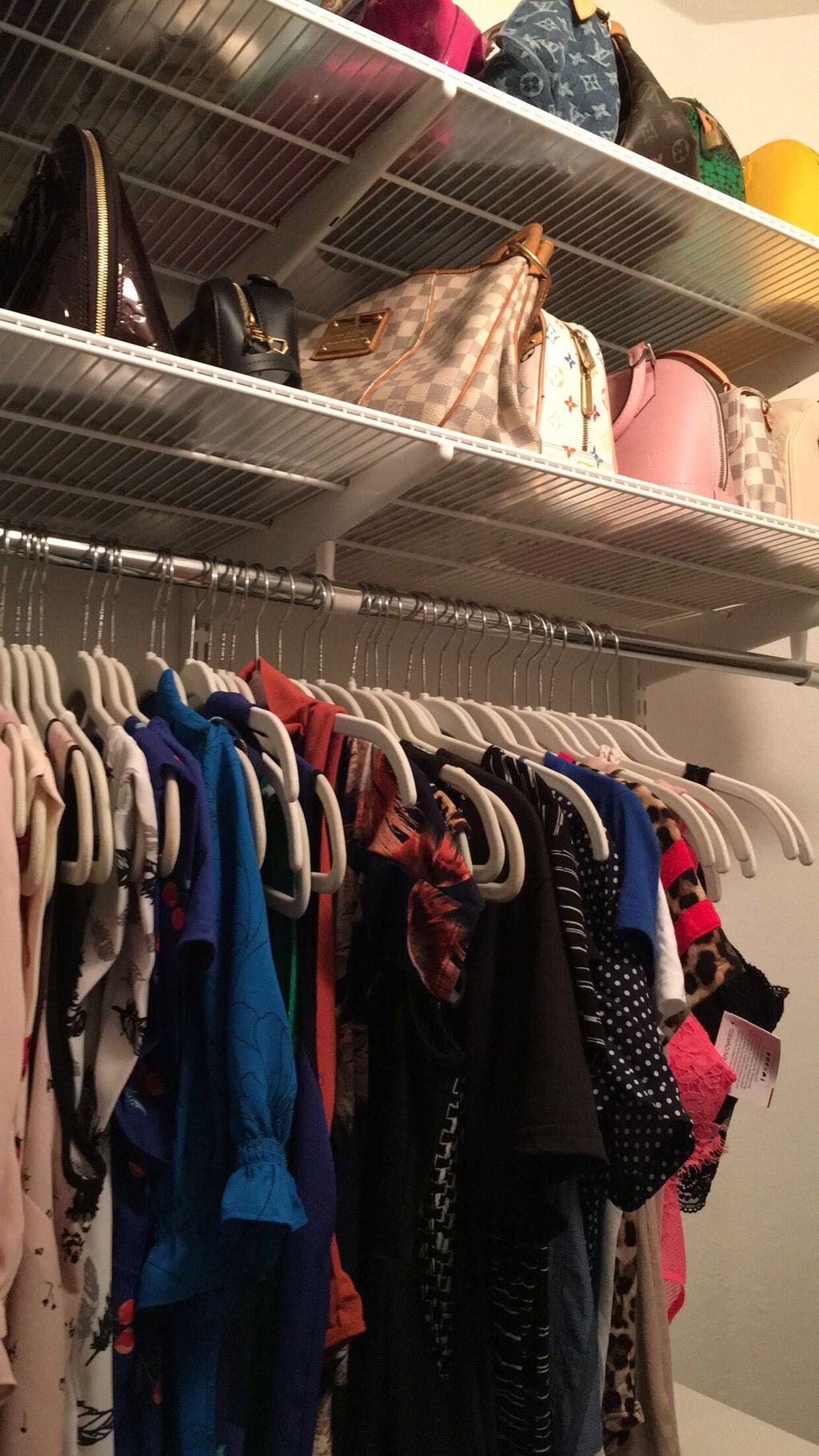 Closet Organizing: Blouse & Bags