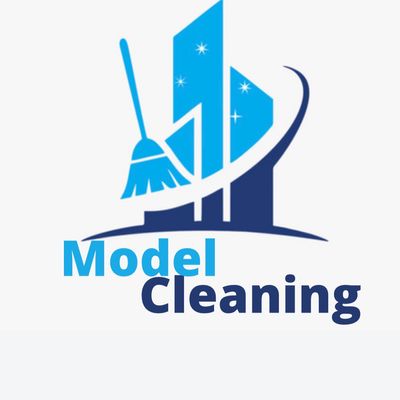 Avatar for Model Cleaning 🧹